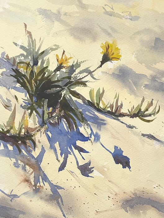 Flowers in the Sand Dunes