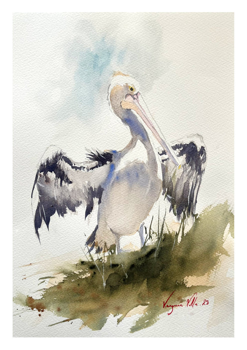 Pelican- Poster Print A3